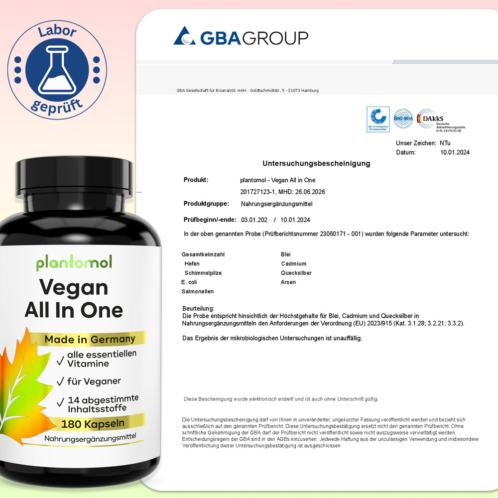 
                      
                        Vegan All In One - Vitamin Komplex mit B12, D3, K2
                      
                    