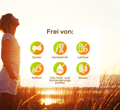 Vegan All In One - Vitamin Komplex mit B12, D3, K2