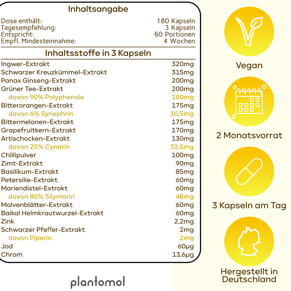 
                      
                        Vitalzauber - Stoffwechsel Komplex
                      
                    