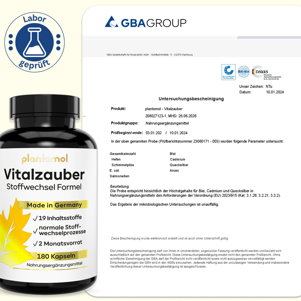 
                      
                        Vitalzauber - Stoffwechsel Komplex
                      
                    