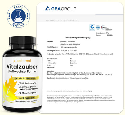 Vitalzauber - Stoffwechsel Komplex