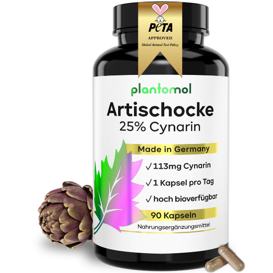 
                      
                        Artischocke mit 25% Cynarin Kapseln
                      
                    