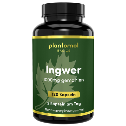 Ingwer - 1000mg pro Tag