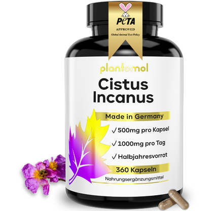 Cistus Incanus Kapseln