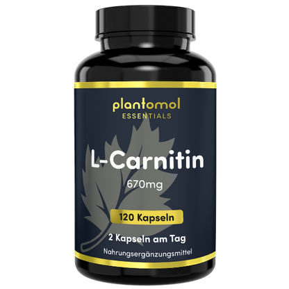 L-Carnitin - 1000mg pro Tag