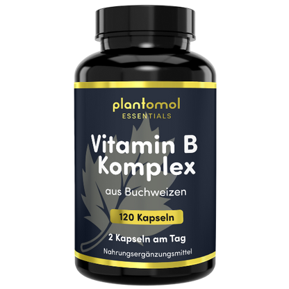 Vitamin B-Komplex - aus 1000mg Buchweizenextrakt