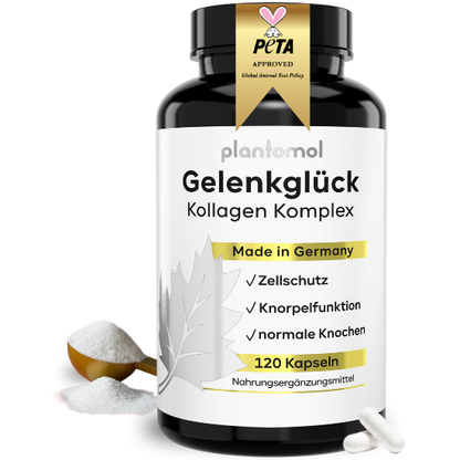 Gelenkglück Kollagen Komplex Kapseln
