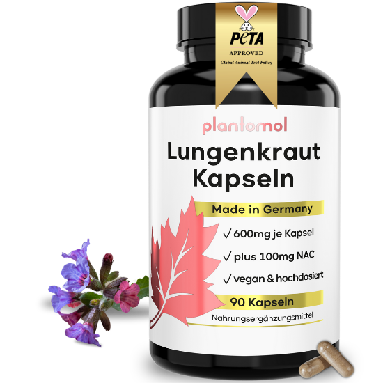 Lungenkraut Kapseln