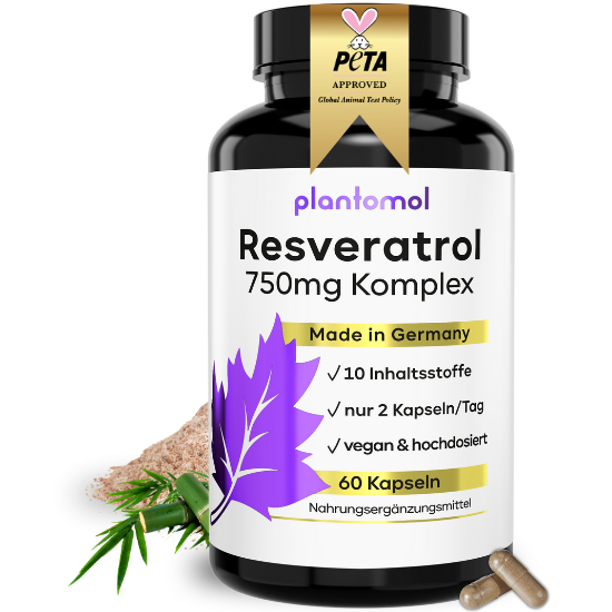 
                      
                        Resveratrol Komplex Kapseln
                      
                    