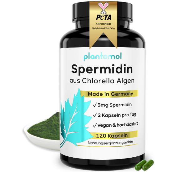 
                      
                        Spermidin aus Chlorella Algen
                      
                    