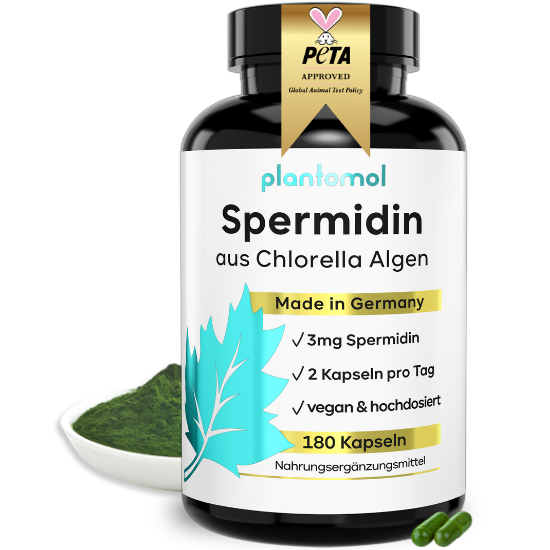 
                      
                        Spermidin aus Chlorella Algen
                      
                    