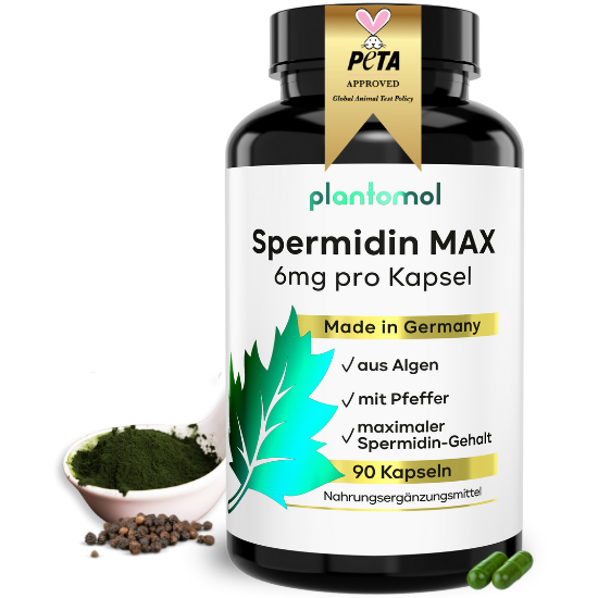 Spermidin MAX Kapseln